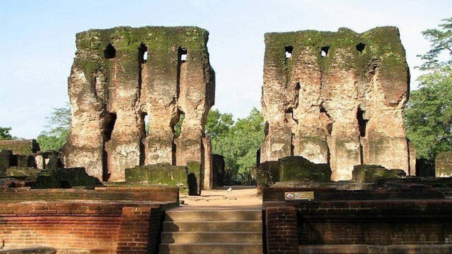 Day Tour to Polannaruwa from Kandy by Lux Tours Lanka