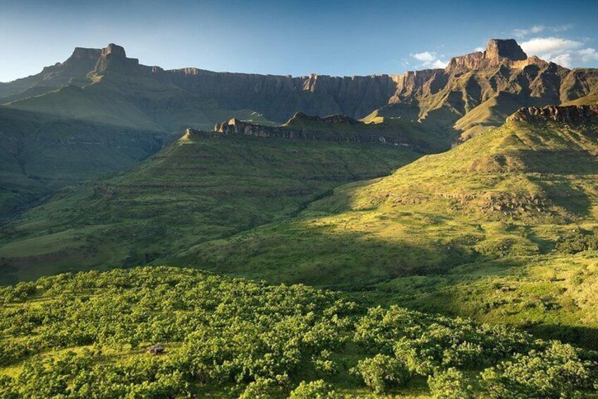 5 Day Zululand – Lion & Elephant & Drakensberg Safari Tour from Durban