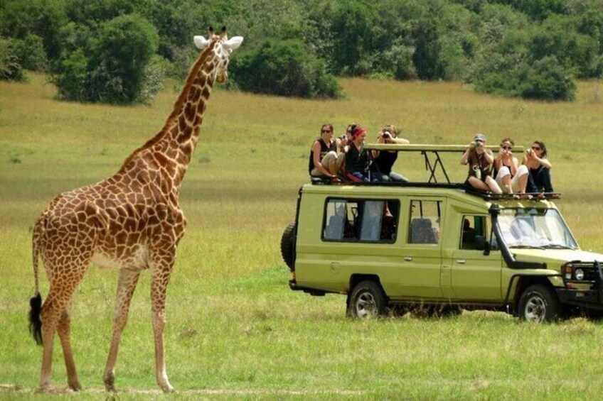 Garden Route Durban to Cape Town via Addo National Park - 7 Days