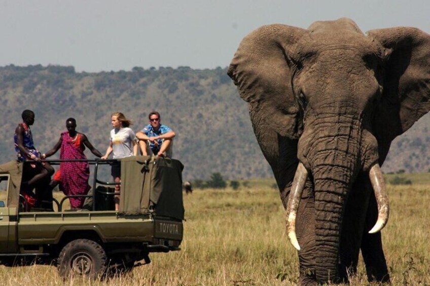 Garden Route Durban to Cape Town via Addo National Park - 7 Days