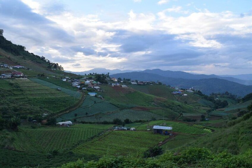 One Day Long-neck hill tribe - Waterfall - Hot Spring (Private tour)