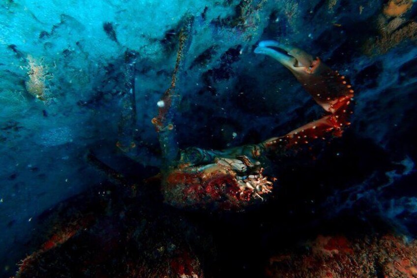 PADI Open Water Diving Course