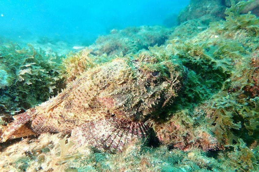 PADI Open Water Diving Course