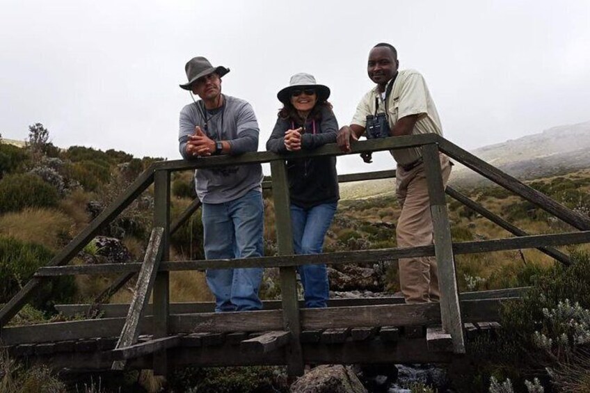 Springs of Mt.Kenya