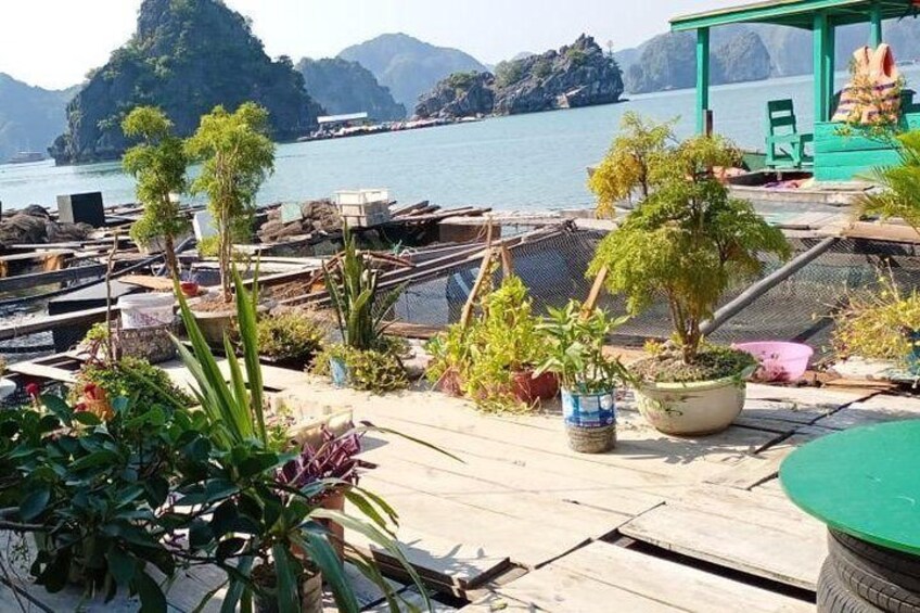 Package: 2Days–1Night (Lan Ha Bay–HaLong Bay-Fisherman Floating House Sleeping)