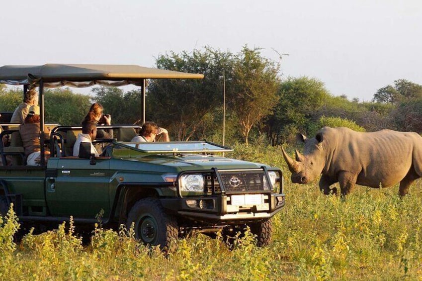 Hluhluwe Imfolozi Game Reserve 3 Day Continous Game Drive from Durban- min 2 