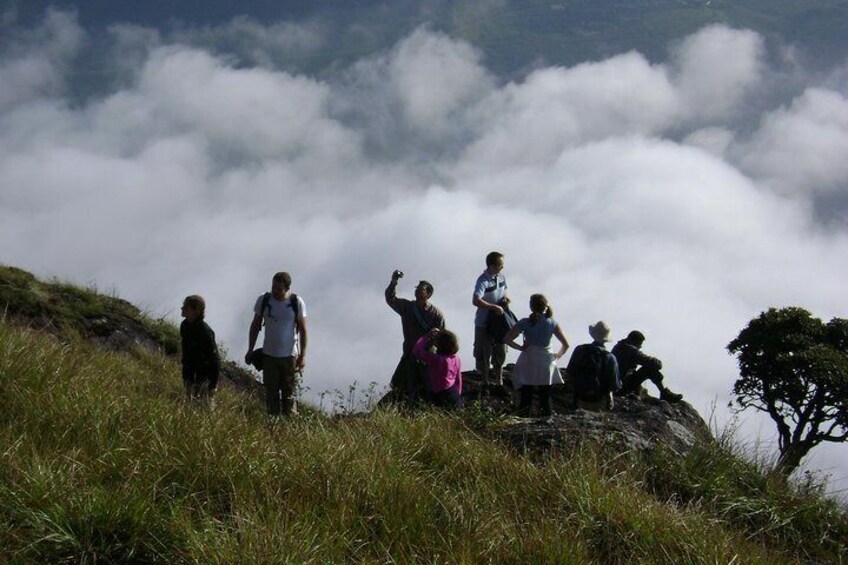 Half day trekking (munnar valley trekking & tours )