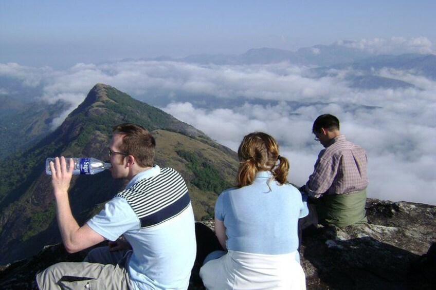 Half day trekking (munnar valley trekking & tours )