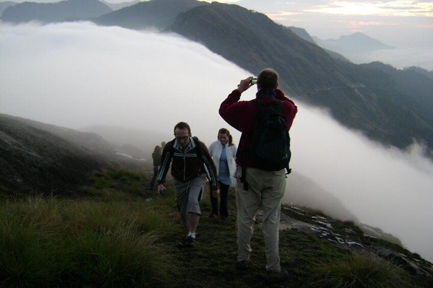 Half day trekking (munnar valley trekking & tours )