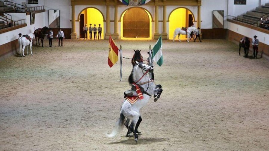 Equestrian Show and Winery in Jerez from Seville