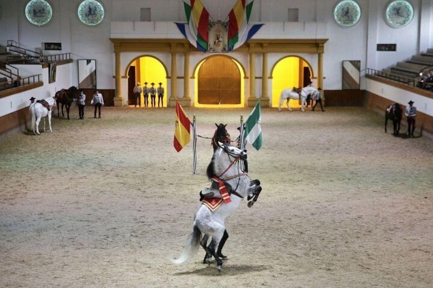Equestrian Show and Winery in Jerez from Seville