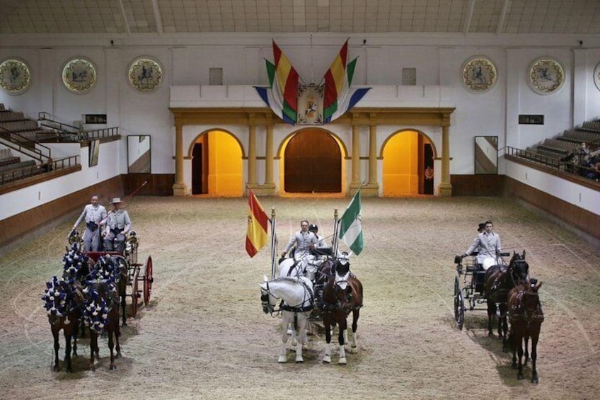 Equestrian Show and Winery in Jerez from Seville