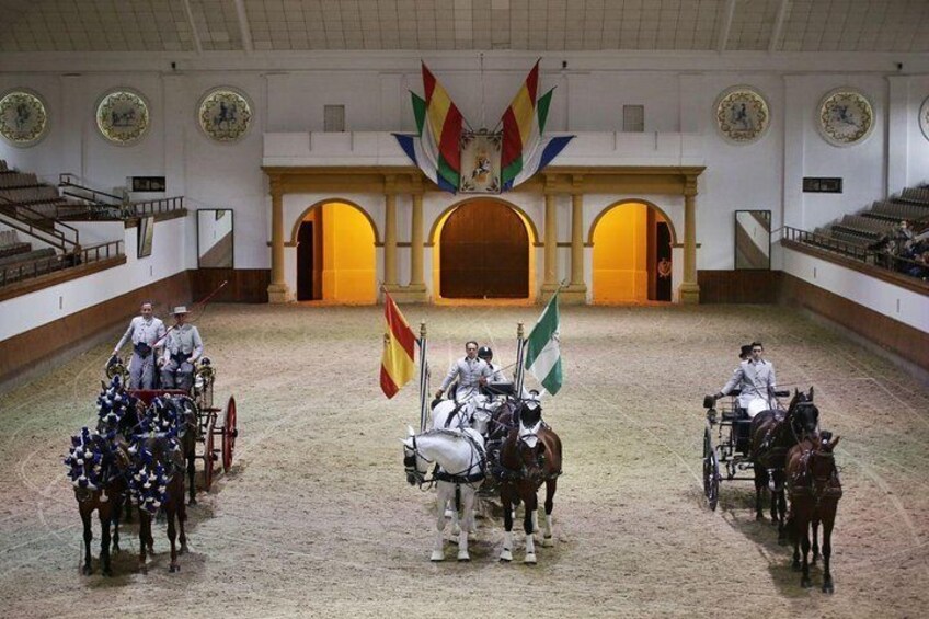 Equestrian Show and Winery in Jerez from Seville