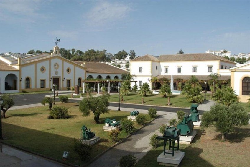 Equestrian Show and Winery in Jerez from Seville