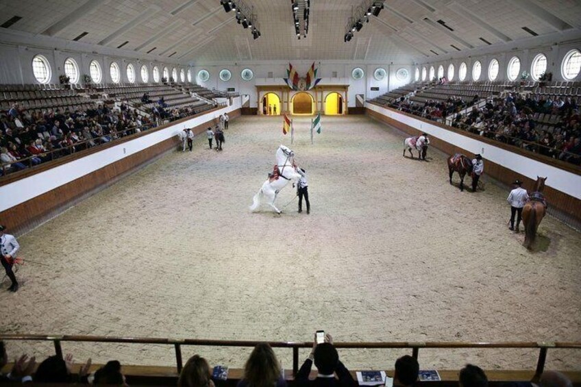 Equestrian Show and Winery in Jerez from Seville