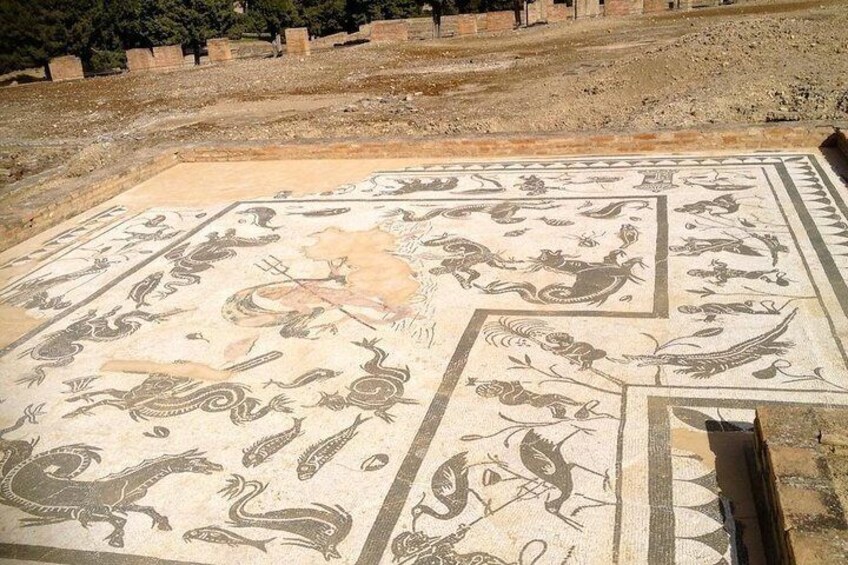 Italica: 3-hour city tour of the emperors from Seville