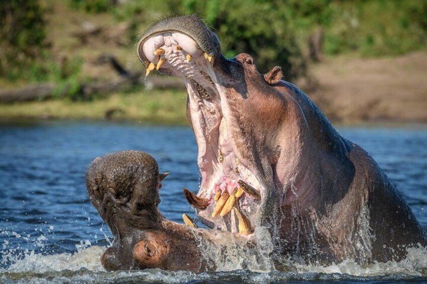 2 Days Lodge Safari - Lake Manyara and Ngorongoro Crater