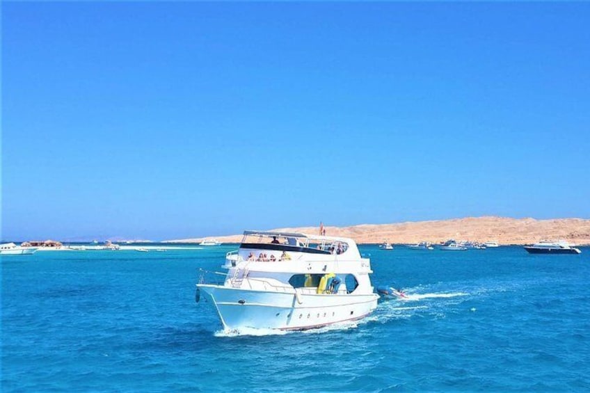 Dolphin House (ROYAL) - VIP Snorkeling Sea Trip - Hurghada