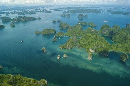 Halong Bay Sightseeing With Seaplane ( 25 minutes on the sky)