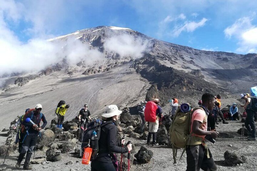 7 Days Machame Trekking Adventure from Moshi