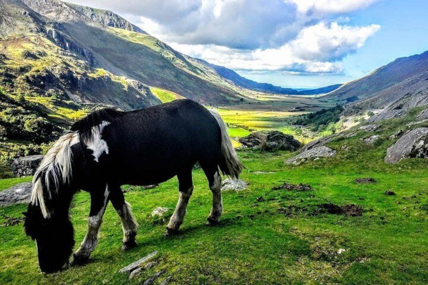 Full-Day North Wales Sightseeing Adventure from Manchester 