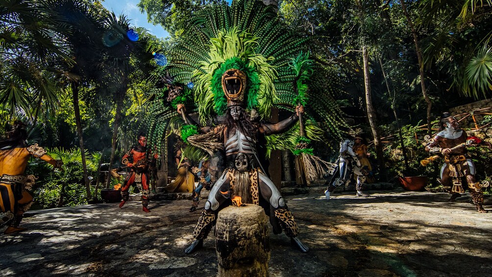 COMBO: Xcaret Plus & Xel-Há Tickets with Transportation