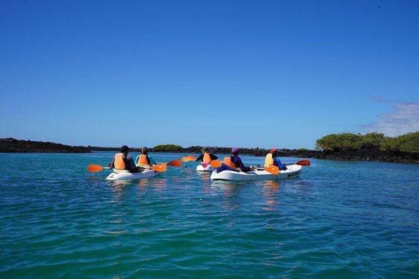 kayak in Tintoreras