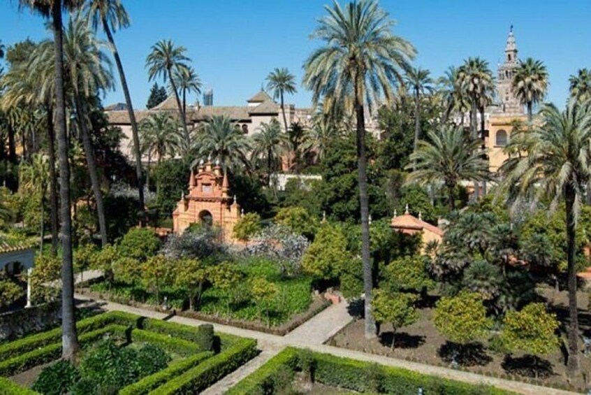 Alcazar, Catedral and Giralda with entrance included