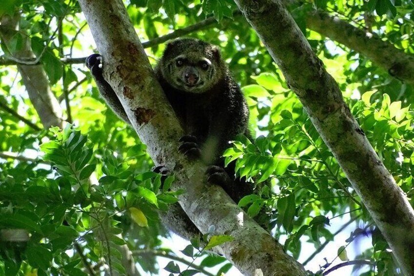 Tangkoko Bitung Manado Nature Tourism Park includes lunch.