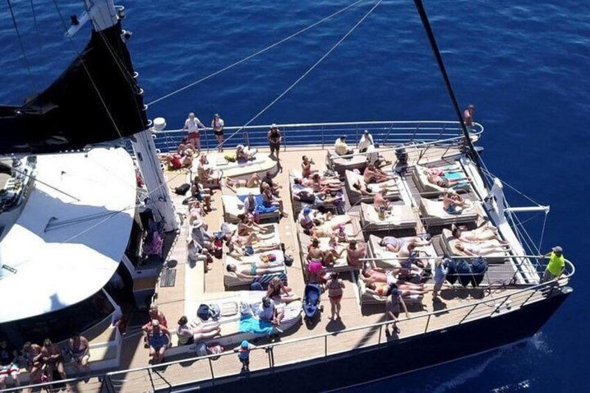 Catamaran route to see dolphins and whales