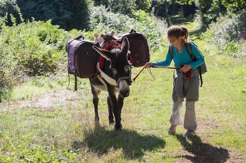 Snack break (photo Jordan Bonneau)