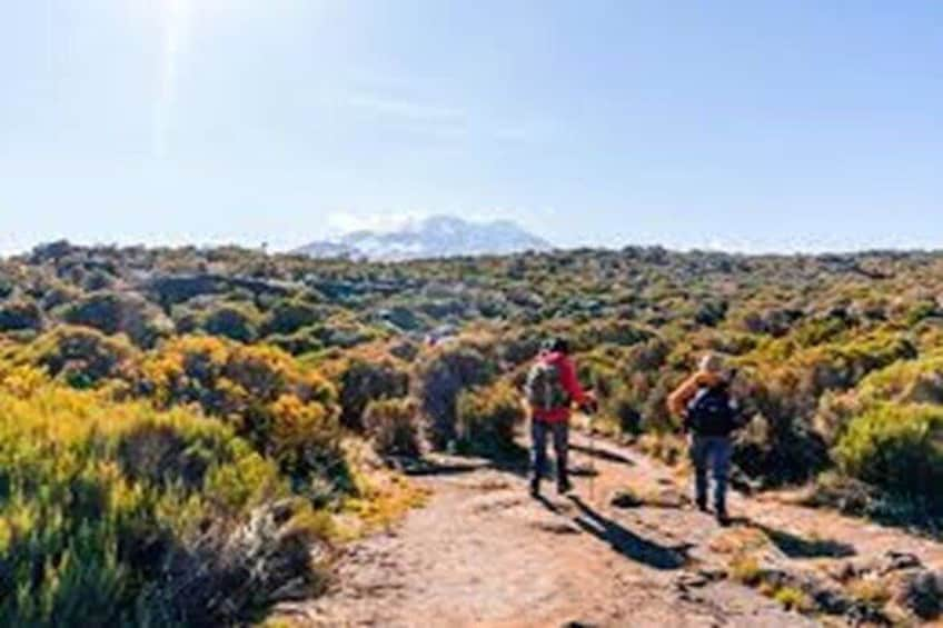 Best Kilimanjaro hiking day trip tour with Kilinge Adventures