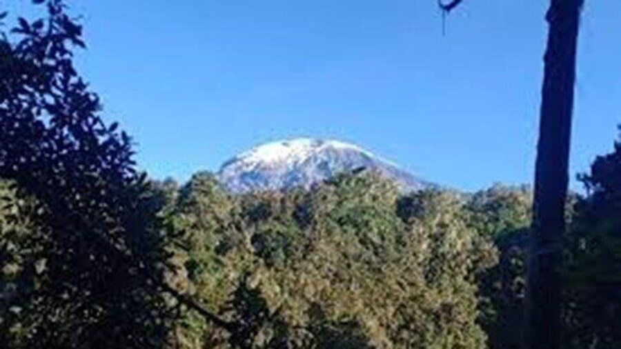 Kilimanjaro Day Hike