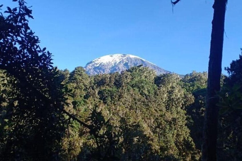 Kilimanjaro Day hiking