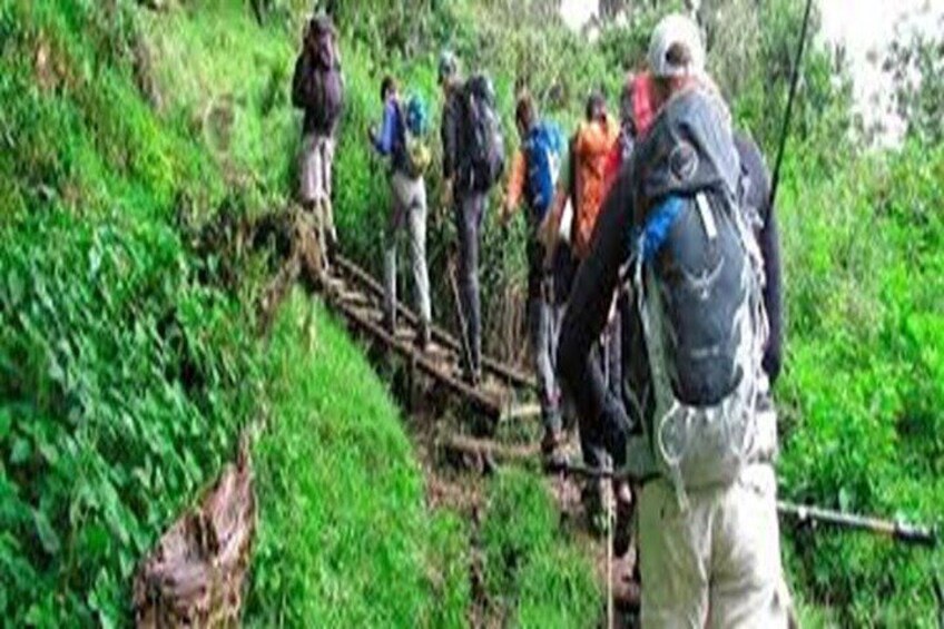 Best Kilimanjaro hiking day trip tour with Kilinge Adventures