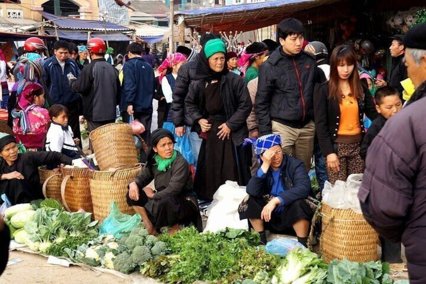 From Ha Giang: 2 Day 1 Night Loop Tour by car or motorbike