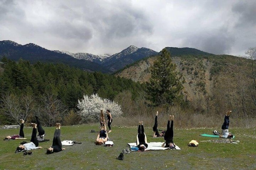 Yoga retreats in nature