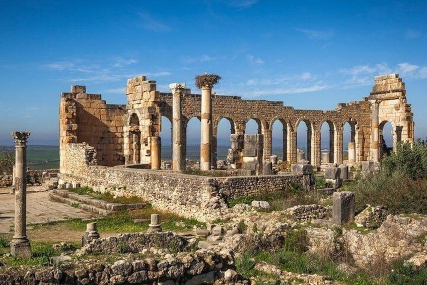 Private Meknes Volubilis -Mouly Idriss day trip from Fez