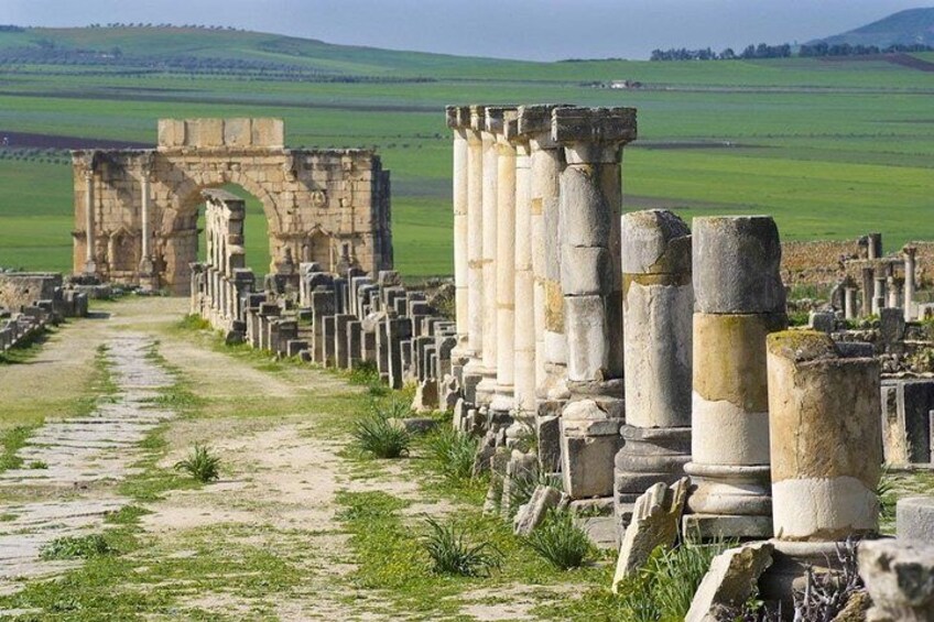 From Fez to Volubilis -Mouly Idriss and Meknes day trip