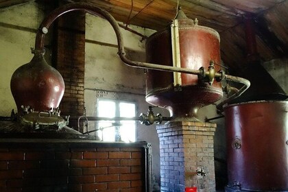 Private tour from Cognac - Cognac Distillery & Bordeaux Winery with a works...