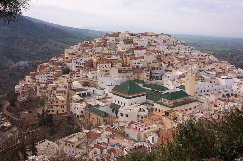 Small Group: From Fez to Volubilis -Mouly Idriss and Meknes day trip