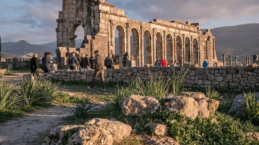 Small Group: From Fez to Volubilis -Mouly Idriss and Meknes day trip