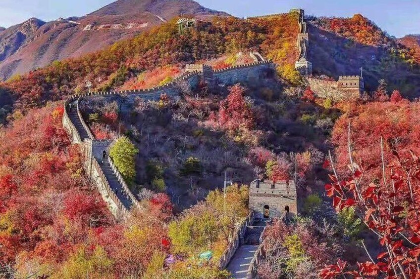 Tianjin Cruise Port Pickup Plus Beijing Great Wall Trip