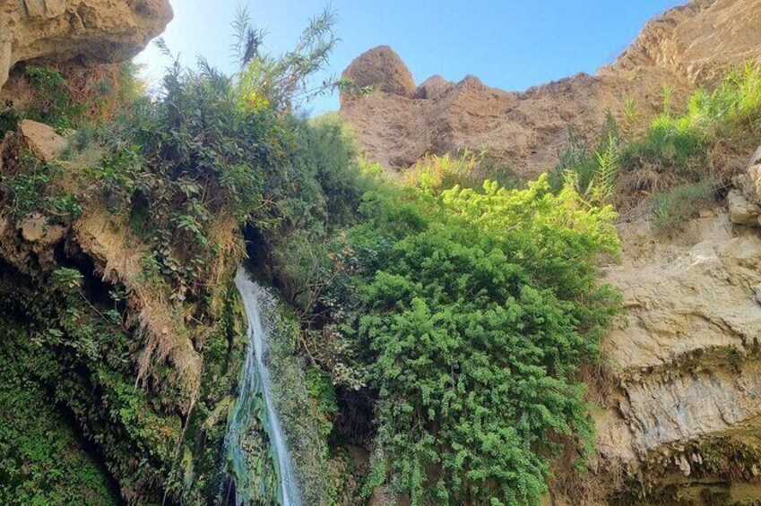 Day Trip to the Dead Sea Valley with GaryTheGuide