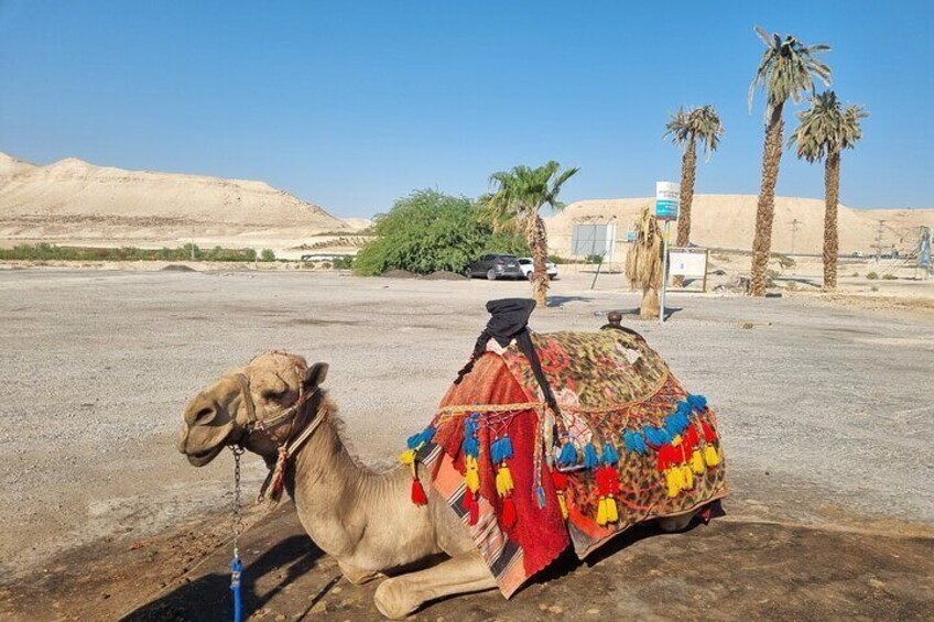 Day Trip to the Dead Sea Valley with GaryTheGuide