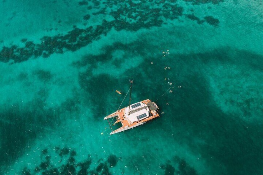 Excursion to the Rosario Islands