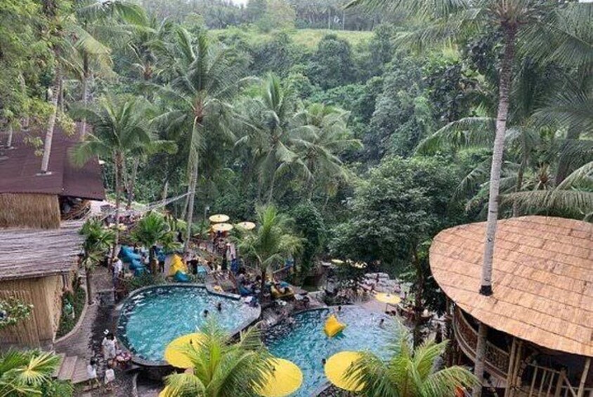 Best of Ubud Cycling and Jungle Swing With Lunch - Ubud, Indonesia