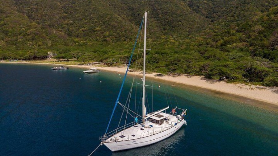 Artivela, The # 1 Tayrona Sailing Experience.