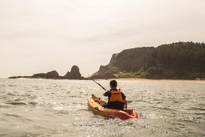 Kayak tour through the bay of Ondarroa