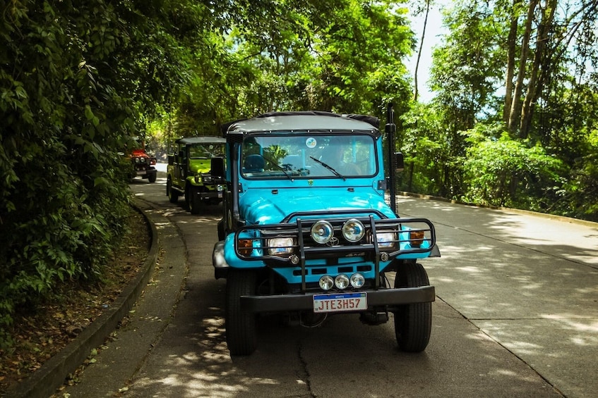 Tijuca Forest and Botanic Garden of Rio Jeep Adventure